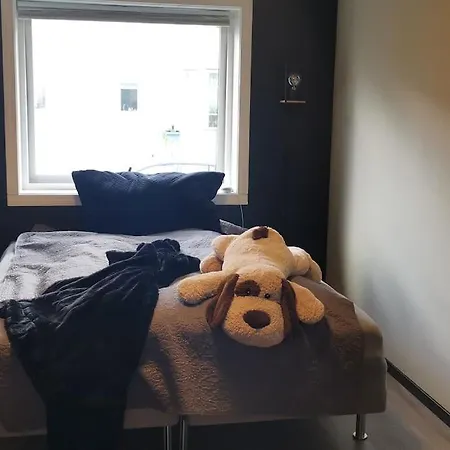 Koselig Naer Sentrum Apartman *